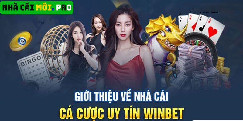 Cách đăng ký tài khoản Winbet