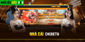 Dkbet8 - Nhà cái siêu hoàn hảo , xem ngay