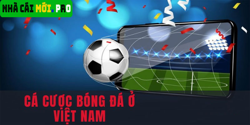 Lời khuyên từ các chuyên gia khi cá cược tại Bongbet