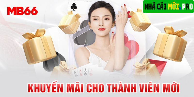 Những lời khuyên hữu ích cho người mới tham gia